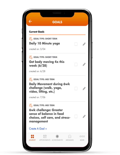 goals tab on journey app